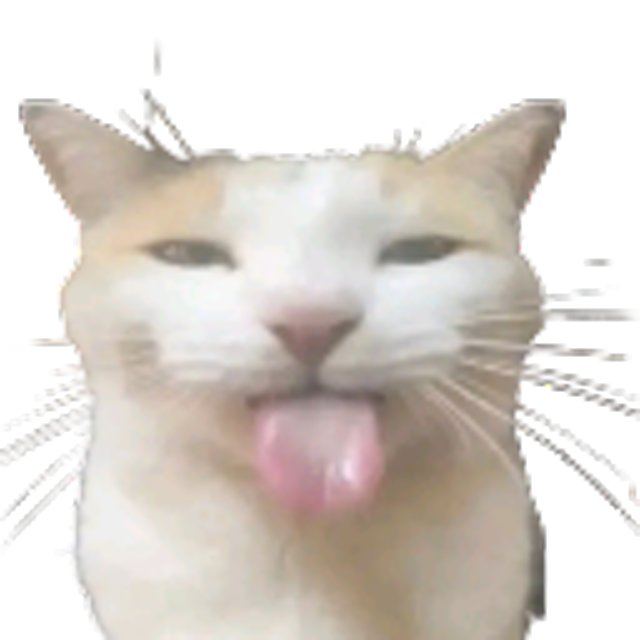 A cat from our meeting